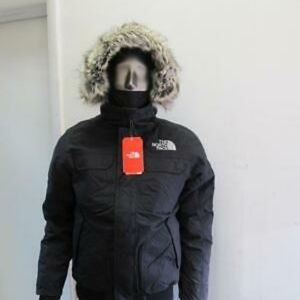 Northface Gotham 3 Parka (Waterproof) size L
